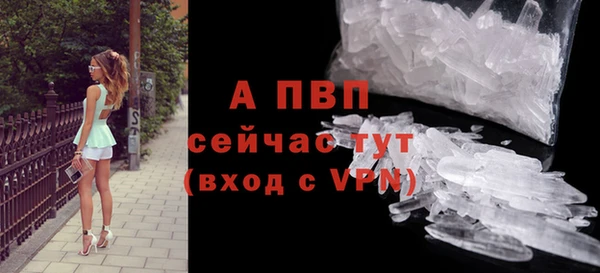 мяу мяу кристалл Богданович