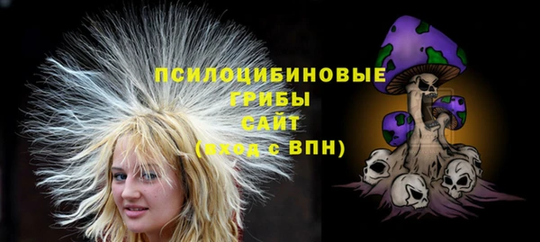 Альфа ПВП Богородицк