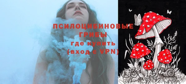 Альфа ПВП Богородицк