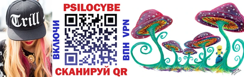 где купить наркотик  Камбарка  Псилоцибиновые грибы мухоморы 